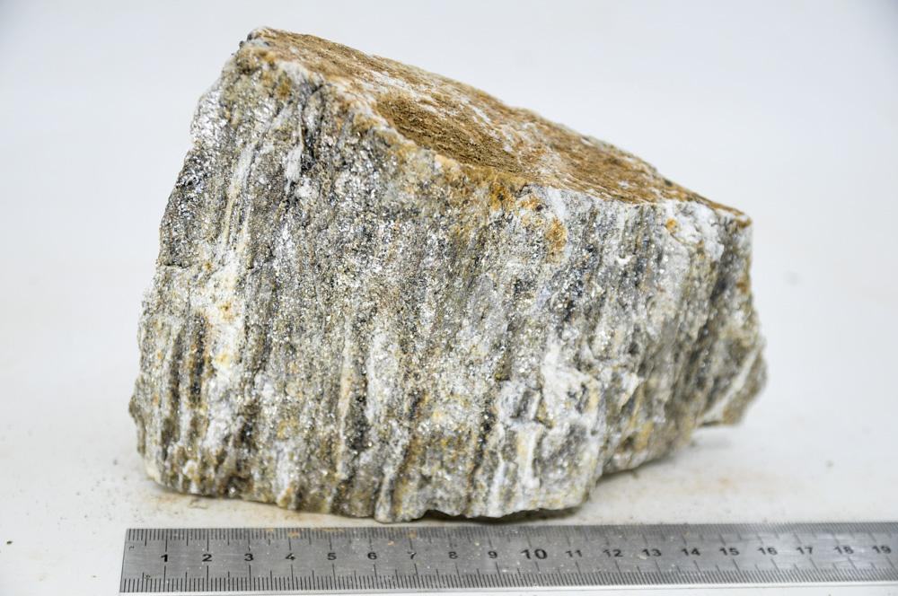 Glimmer Wood Rock XL4 - Hardscape.nlExtra Large