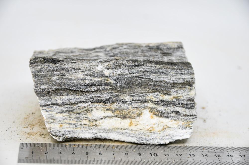 Glimmer Wood Rock XL7 - Hardscape.nlExtra Large