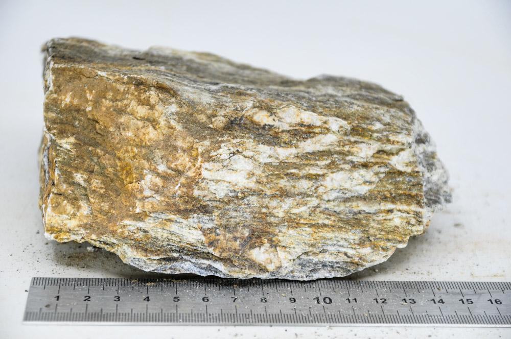 Glimmer Wood Rock XL9 - Hardscape.nlExtra Large