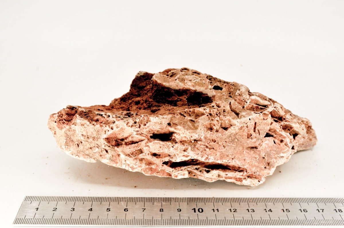 Maple Leaf Rock M18 - Hardscape.nlMedium