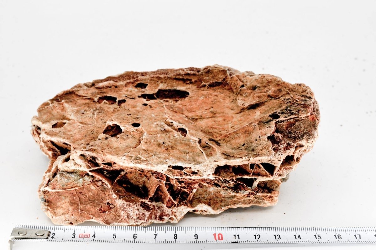 Maple Leaf Rock M1 - Hardscape.nlMedium