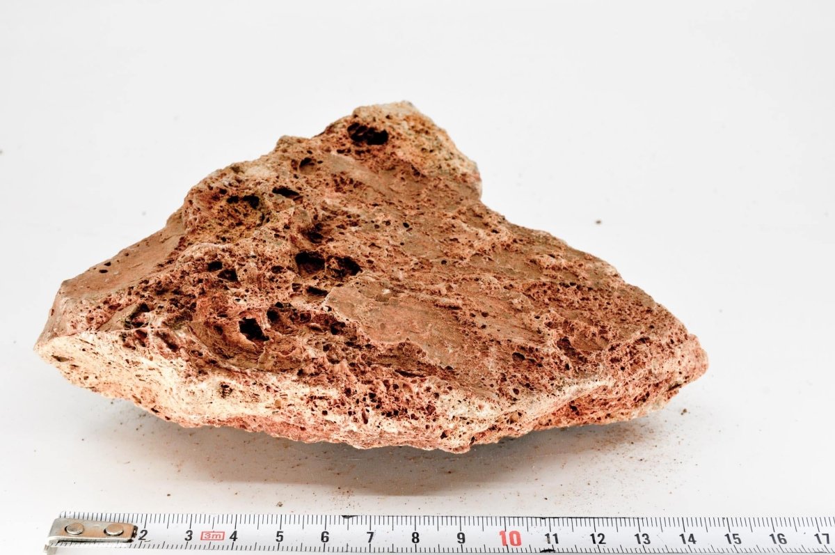 Maple Leaf Rock M7 - Hardscape.nlMedium