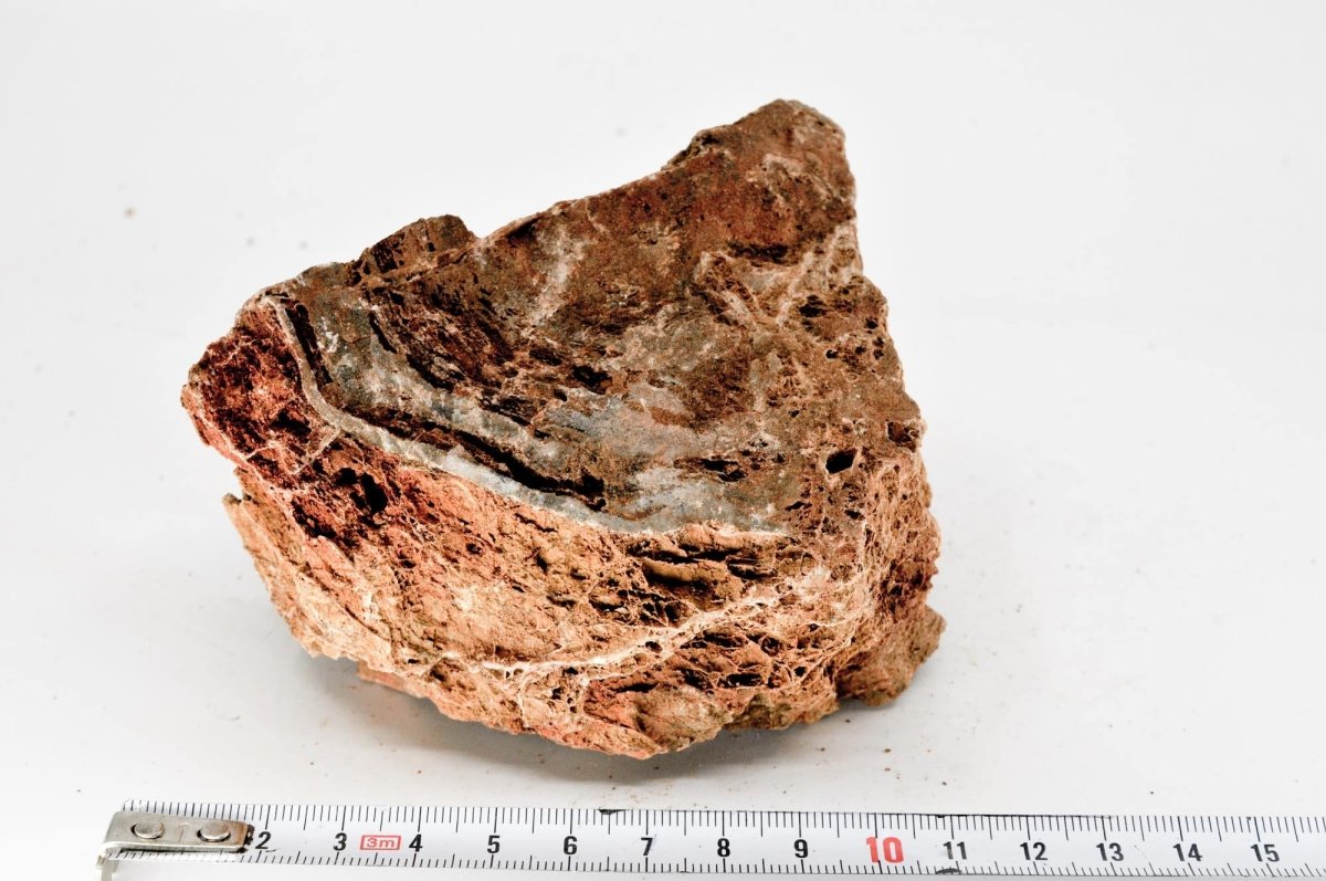 Maple Leaf Rock M9 - Hardscape.nlMedium