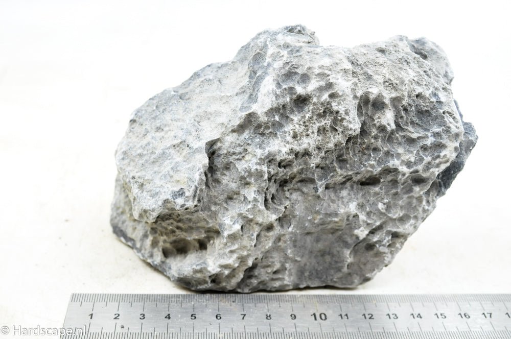 Seiryu Rock M033 - Hardscape.nlMedium