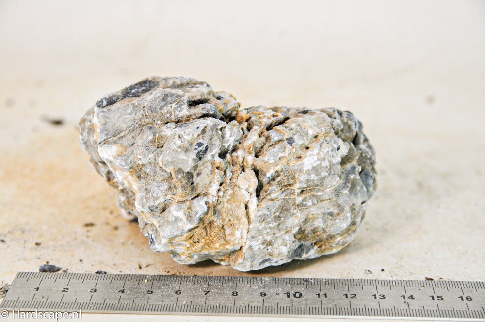 Seiryu Rock S189 - Hardscape.nlSmall