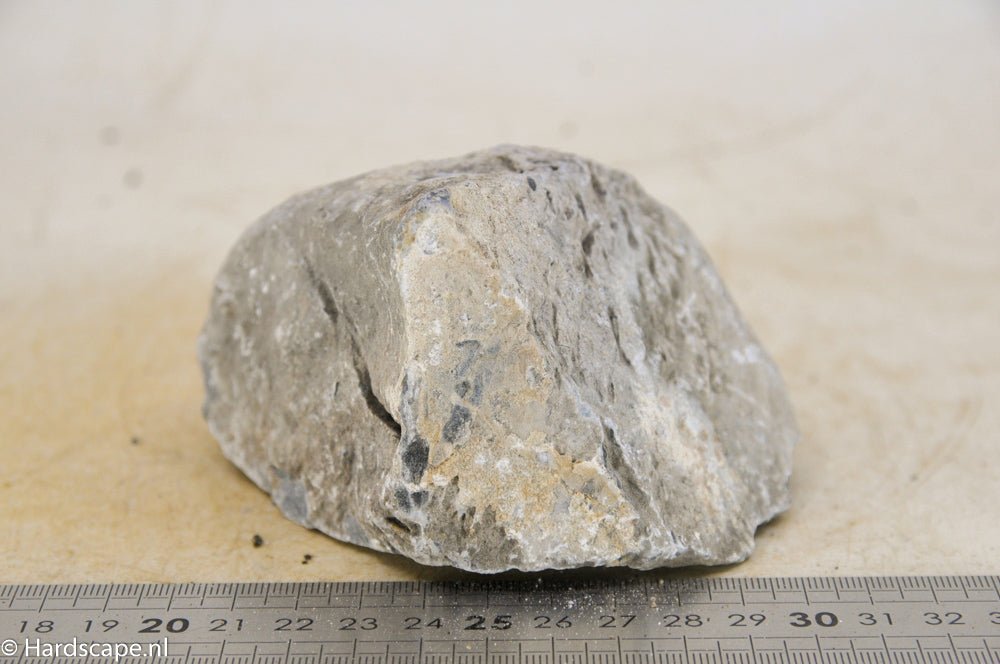Seiryu Rock S199 - Hardscape.nlSmall