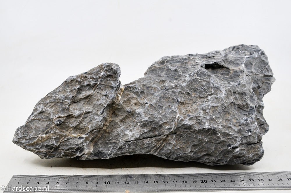 Seiryu Rock XL046 - Hardscape.nlExtra Large