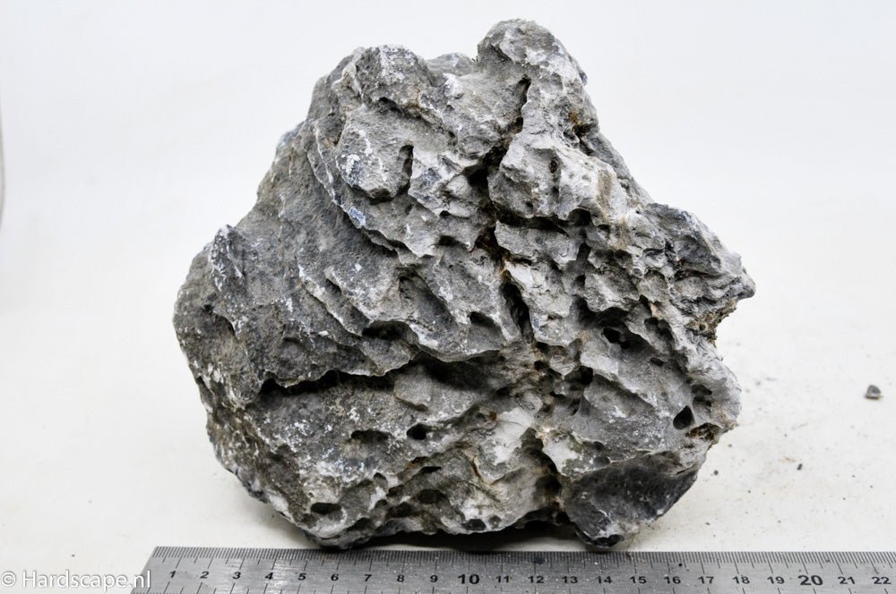 Seiryu Rock XL049 - Hardscape.nlExtra Large
