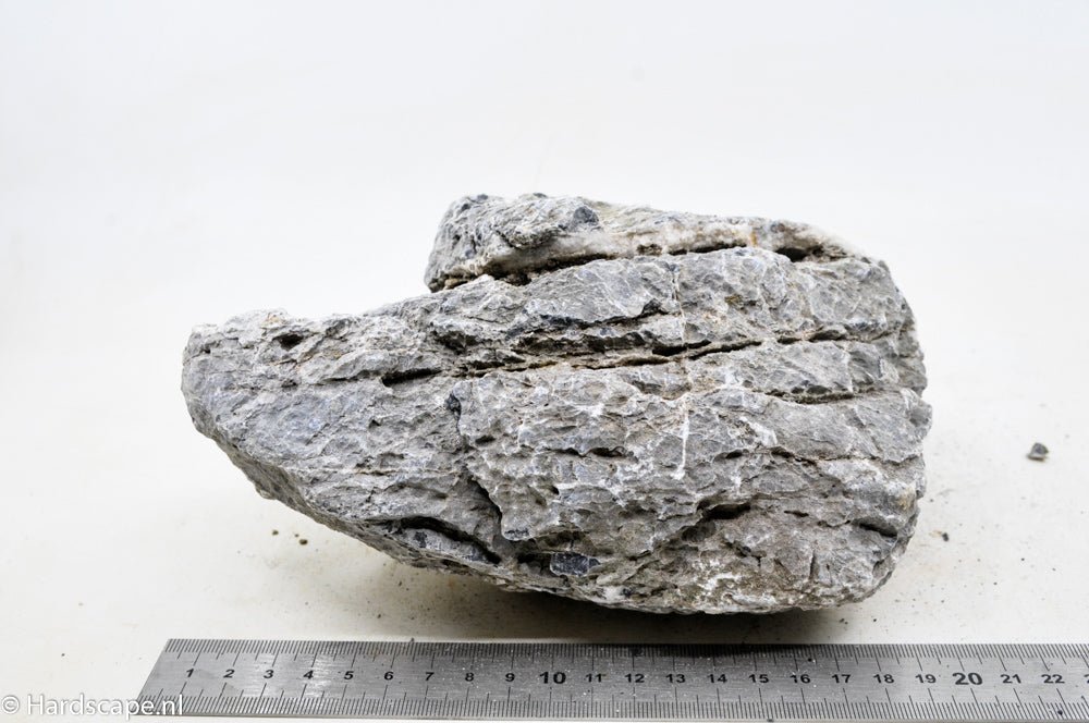 Seiryu Rock XL050 - Hardscape.nlExtra Large