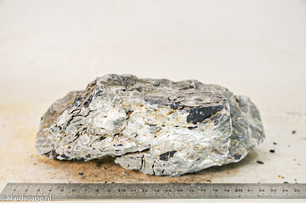 Seiryu Rock XL087 - Hardscape.nlExtra Large