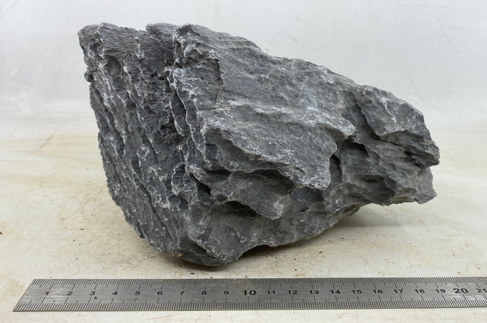 Seiryu Rock XL28 - Hardscape.nlExtra Large