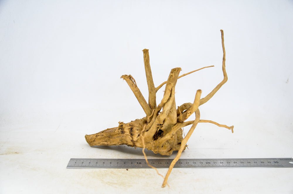 Spiderwood M37 - Hardscape.nlMedium